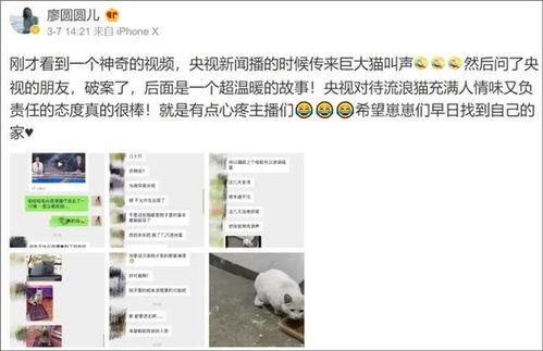 易经网友爆料新闻视频大全,网友爆料新闻视频大盘点  第2张